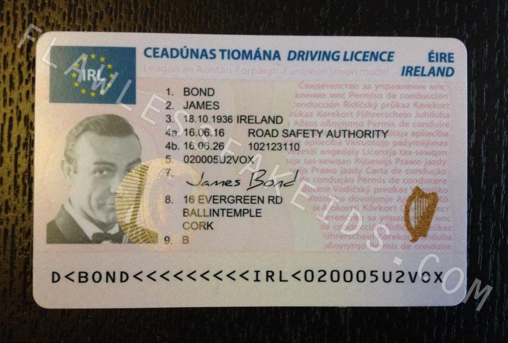 fake irish drivers license